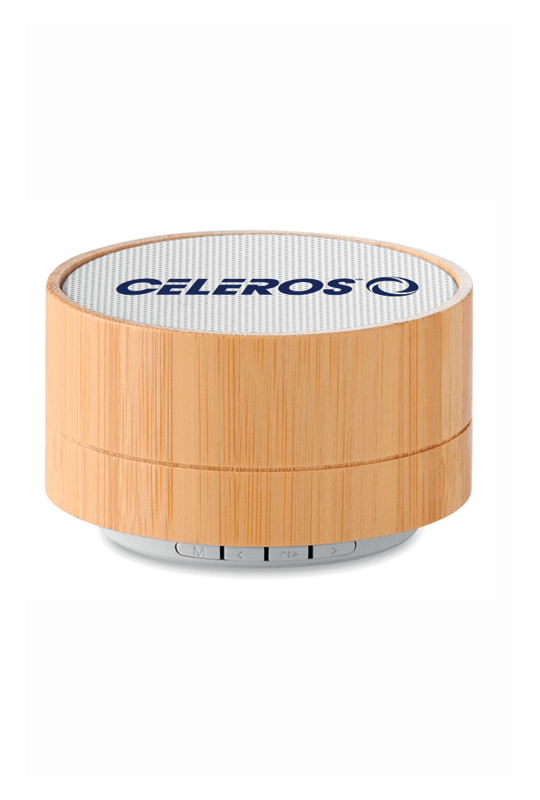 Bamboo Speaker, printed on the top