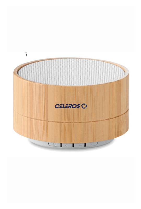 Bamboo Speaker, printed or engraved on the side